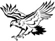 vector eagle
