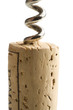 Wine cork with cork screw