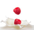 Raspberry falling to milk splash. Vector illustration, Raspberry falling to milk splash. Vector illustration,