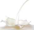 Splash of milk. Vector illustration. Splash of milk. Vector illustration.
