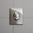 Photo: Economic toilet flush knob Economic toilet flush knob