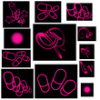 pink neon party imagery