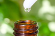 Herbal essence. Spa botanics.