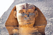 Aegypten, Giseh, Sphinx