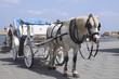 Horse cart for tourists in Xania, Crete
