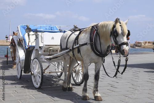 Photo: Horse cart for tourists in Xania, Crete Horse cart for tourists in Xania, Crete
