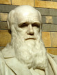 Statue of Charles Darwin1809-82 Statue of Charles Darwin1809-82
