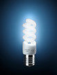 Compact Fluorescent Lamp