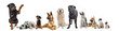 groupe de chiens