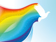 Pigeon with rainbow