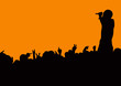 concert crowd wave