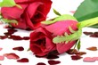 Rosen auf Herzen
