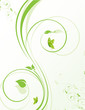 abstract floral background with place for your text
