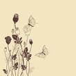 Rose flower with butterfly background