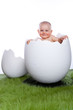 baby girl in egg on white background