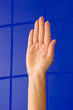 Hand, Arm