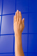 Hand, Arm