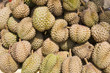 Heap of durians at a market in Asia