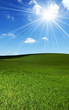 Beautiful Landscape