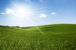 Sunshine field