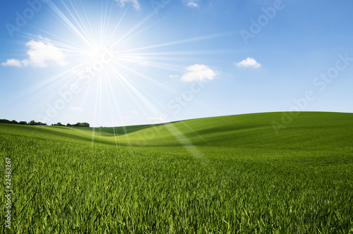 Foto : Sunshine field Sunshine field