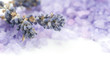 Lavender Spa border.Isolated on white