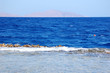Coral reef in Sharm el Sheih