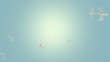 Video: Birds Flying Loop with Alpha Matte Birds Flying Loop with Alpha Matte