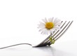 flower and fork