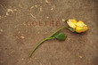 Goethe