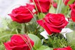 red roses