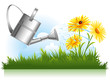 garden watering