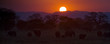 Elephants at Sunset