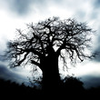 ominous, scary tree