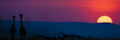 Giraffes wathcing African Sunset