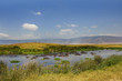 African Hippo Pool