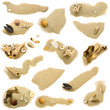 Strand Details