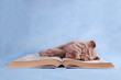 Puppy sleeping on book