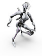 Female robot warior