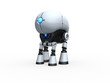 four-footed robot