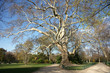 Paris monument jardin Monceau 01