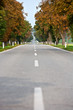 autumnal alley road