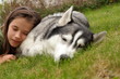 Girl and her friend, siberian husky