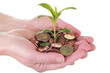 Geld in Hand