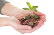 Geld in Hand