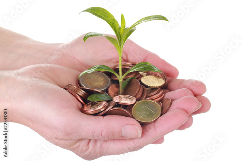 Foto: Geld in Hand Geld in Hand