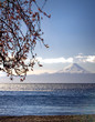 Lago y volcán