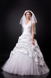 Young Beautiful Bride