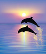 Dolphins.