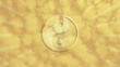 Yin YAn Animation vor blau / rotem Himmel